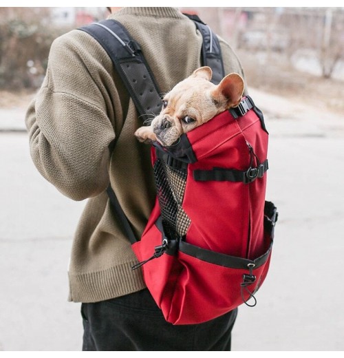 French Bulldog Backpack